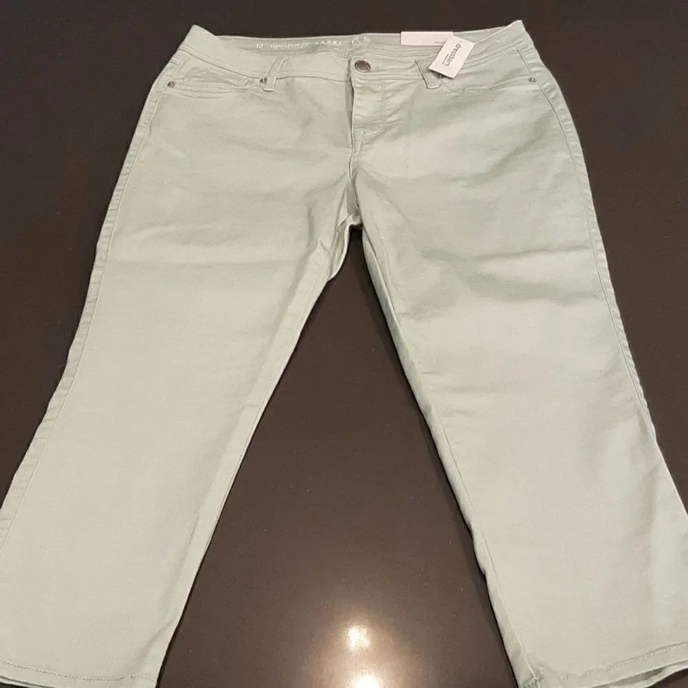 Dressbarn Pale Green Signature Fit Capri NWT